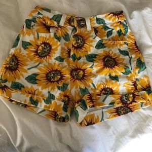 American Apparel Sunflower Shorts